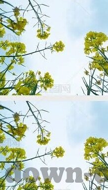 东亚杯中日足球比分-东亚杯烽火重燃，中日足球对决，比分背后藏玄机
